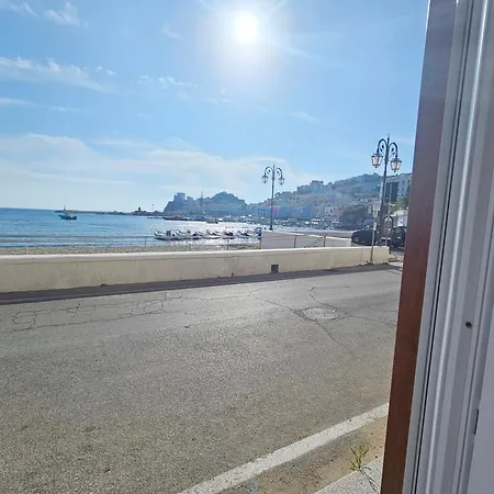 Maridea - Hipparchia *