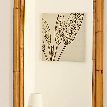 Maridea - Hipparchia