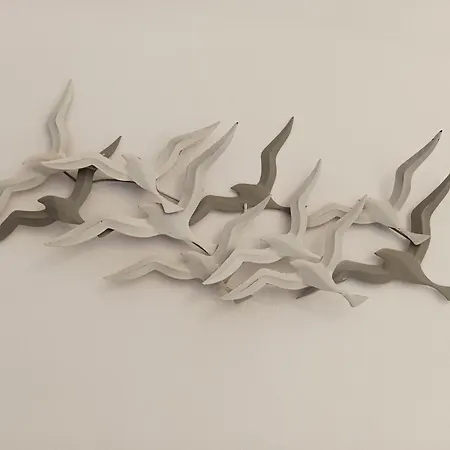 Maridea - Hipparchia